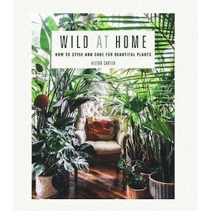 Wild At Home - How to Style And Care For Beautiful Plants