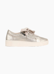 EOS Jovi Sneaker - Champagne Suede