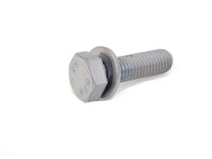 BMW Hex Bolt with Washer