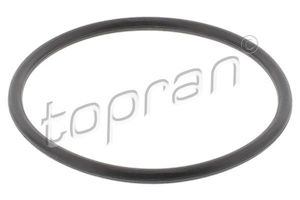 BMW Porsche VW Thermostat Gasket