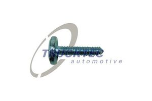 Lottery: BMW Oil Pan Torx Bolt