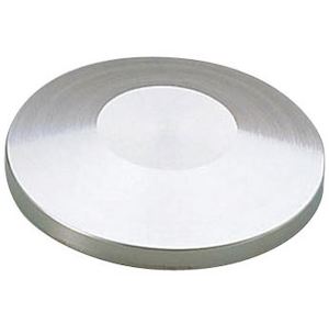 EDWV NW50 Blank Flange S/Steel