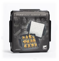 Computer game: Stormvault Skirmish Case