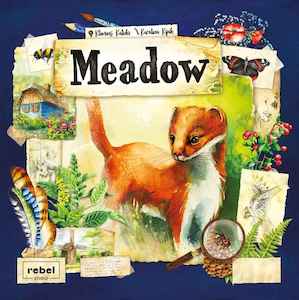 Computer game: Meadow