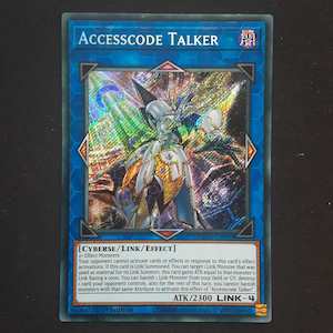 Computer game: Accesscode Talker