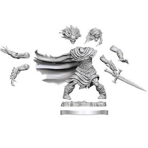 D&D Frameworks Miniatures: Wight