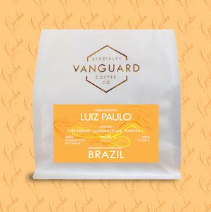 Brazil Luiz Paulo Gesha Fermented Natural - Filter Roast