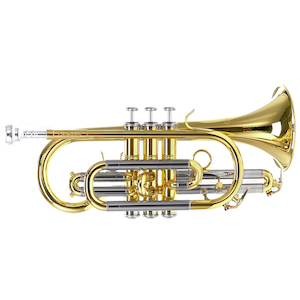 Repair and maintenance: CarolBrass Cornet 3200