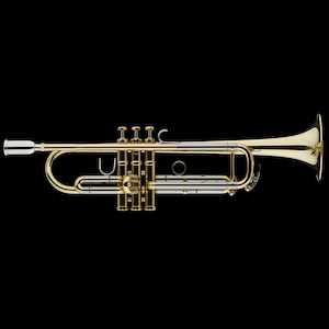 Repair and maintenance: Schagerl Meister James Morrison Trumpet