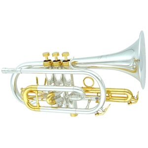 CarolBrass Bb Cornet 6880