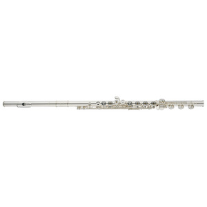 Repair and maintenance: Altus 1307 RBEoSS Flute