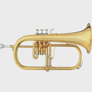 Repair and maintenance: B&S Challenger II 3146 Flugelhorn