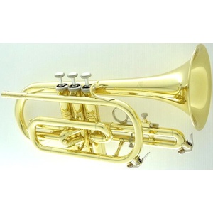 Repair and maintenance: CarolBrass Cornet 2000 Student