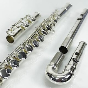 Haynes Amadeus Alto Flute AF670 RBEO