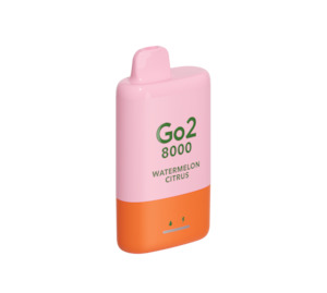 Go2 8000 Puff - Watermelon Citrus