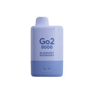 Go2 8000 Disposable Vape - Blueberry Raspberry