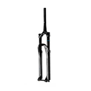 Bicycle and accessory: Cane Creek Helm MKII fork