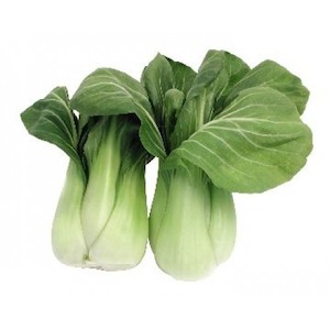 Cabbage - Shang Hai