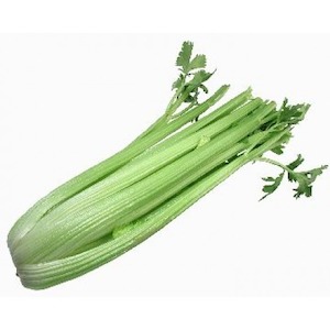 Greengrocery: Celery bunch