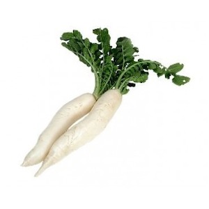 Daikon Radish