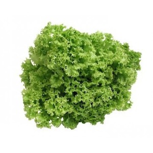 Lettuce Green Frilly