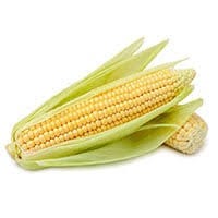 Corn Cob each