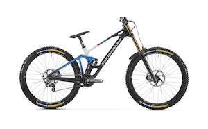 SUMMUM CARBON RR 29