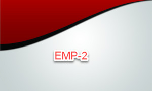 Visiting Card: VCard For Emp2