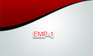 Visiting Card: VCard For Emp1