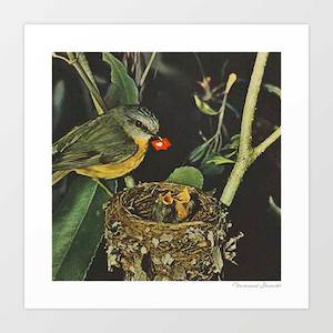 'Birdie likes' Art Print by Vertigo Artography