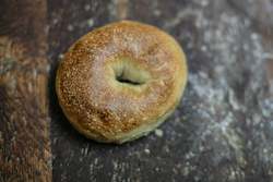 Plain Bagel