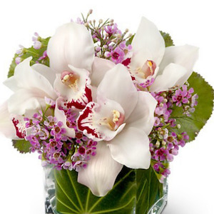 Orchid Vase