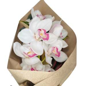 Florist: Stunning Orchid