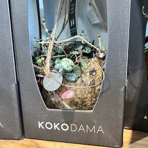 Kokodama & Chain of Hearts - Great Gift Idea