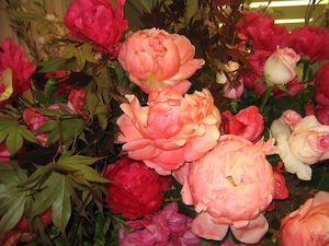 Peony Posies - Saturday the 9th November 1.30pm