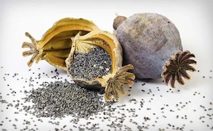 Poppy Seeds 100g