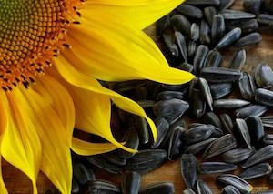 Sunflower Seed Oil 250ml