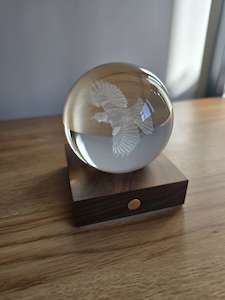 Corporate Head Office Management: Tui 3D Engraved Light