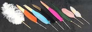 Colourful Feather Pens