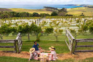 Specialised food: Premium Mystery Picnic - Village Picnic