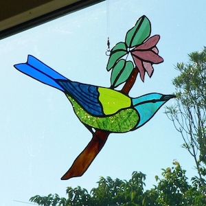 Bellbird on Clematis