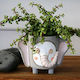 Elephant Planter