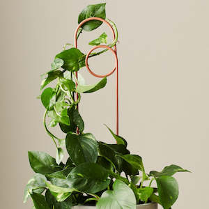 Ivy Muse Loop Plant Stake