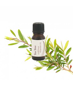 Essential Oil Tea Tree 12ml