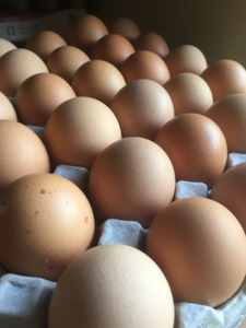 Tray of 30 free range eggs