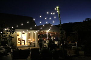 Festoon Lights 10M