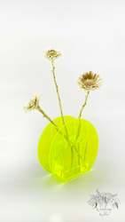 Dried flower: Highlighter Yellow Acrylic Circle Vase