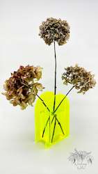 Dried flower: Highlighter Yellow Acrylic Arch Vase