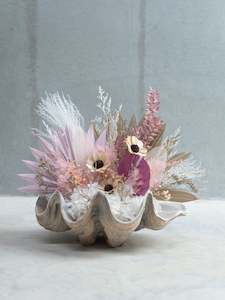 Pink Daisy Giant Clam