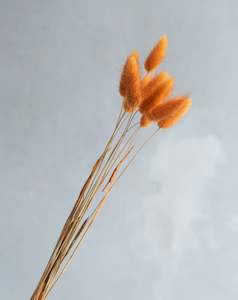 Bunny Tails - Burnt Orange